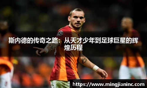 球友体育在线直播观看