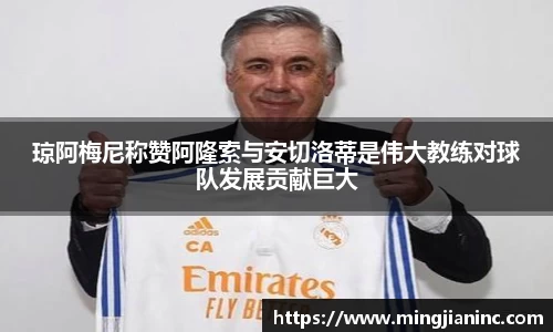 琼阿梅尼称赞阿隆索与安切洛蒂是伟大教练对球队发展贡献巨大
